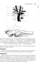 Травматология детского возраста - Фото 4