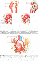 Травматология детского возраста - Фото 10