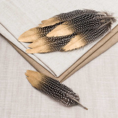 Набор перьев декоративных с золотым кончиком - Фото 4