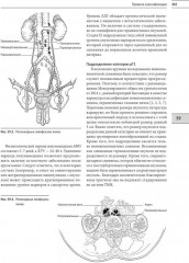 Классификация опухолей TNM. Комплект из 3 книг - Фото 1