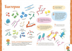 Пластилиновая лаборатория Чевостика 2 - Фото 4