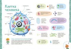 Пластилиновая лаборатория Чевостика 2 - Фото 5