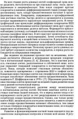 Рахит — новый взгляд на старую болезнь - Фото 5