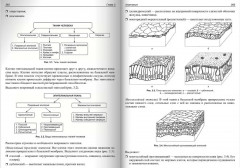 ЕГЭ по биологии. Практическая подготовка - Фото 10