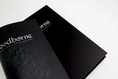 Bloodborn. Официальные иллюстрации - Фото 2