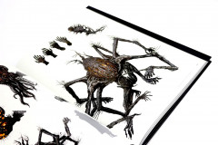 Bloodborn. Официальные иллюстрации - Фото 7