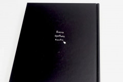 Bloodborn. Официальные иллюстрации - Фото 13