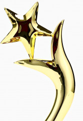 Фигура наградная «Звезда и пламя» - Фото 1