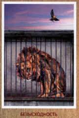 Карты метафорические для саморазвития. Источник древней мудрости - Фото 5