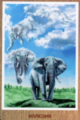 Карты метафорические для саморазвития. Источник древней мудрости - Фото 12