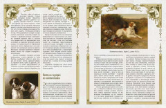 Русская охота - Фото 5