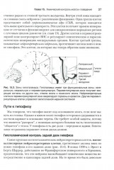 Нейронауки. Исследование мозга. В 3 томах. Комплект из 3 книг - Фото 10