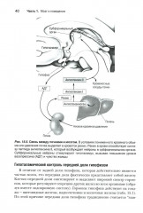 Нейронауки. Исследование мозга. В 3 томах. Комплект из 3 книг - Фото 13