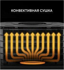 Сушилка для овощей и фруктов PFD 2505 - Фото 7