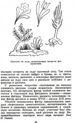 Фигурное катание - Фото 1