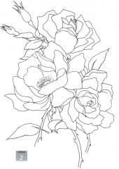 Волшебные цветы. Нарисуй акварелью - Фото 12