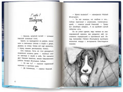 Музыка внутри - Фото 7