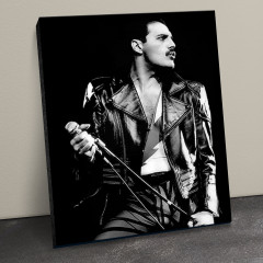 Картина по номерам «Фредди Меркьюри» - Фото 1