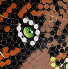 Картина из пайеток «Леопард» - Фото 3