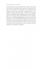 Тайная жизнь деревьев. Что они чувствуют, как они общаются — открытие сокровенного мира - Фото 6