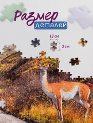 Пазл «Национальный парк в Чили» - Фото 4