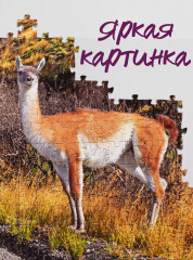 Пазл «Национальный парк в Чили» - Фото 6