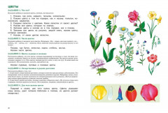 Развитие речи. Уроки с логопедом - Фото 3