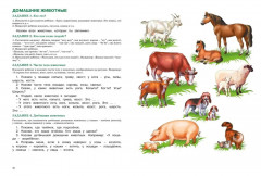 Развитие речи. Уроки с логопедом - Фото 4