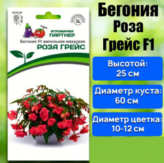 Бегония клубневидная ампельная махровая F1 «Роза Грейс» - Фото 1