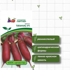Свекла «Таунус F1» - Фото 1