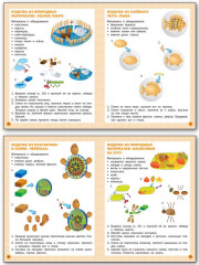 Труд (Технология). 2 класс. Тетрадь творческих работ и проектов - Фото 2