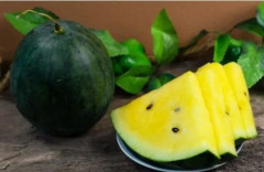 Семена арбуза «Золотой малыш» - Фото 2