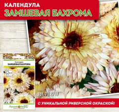 Календула «Замшевая бахрома» - Фото 1