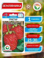 Семена земляники «Тристар» - Фото 4