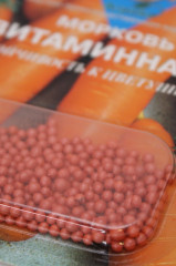 Семена моркови «Витаминная 6» - Фото 2