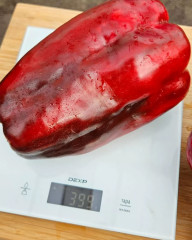 Семена перца сладкого «Годзилла» - Фото 2