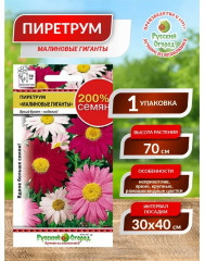 Семена цветов «Пиретрум. Малиновые гиганты» - Фото 2