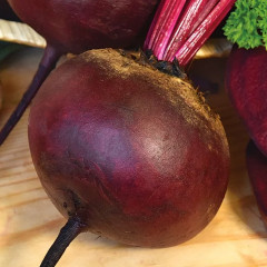 Семена свёклы «Мулатка-шоколадка» - Фото 1