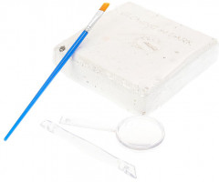 Набор игровой «Настоящие раскопки. Брахиозавр-скелет» - Фото 4