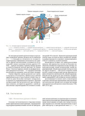 Гепатология. Клиническая морфология печени. Практическое руководство для врачей - Фото 15