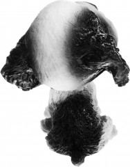 Декор для автомобиля «Спаниель» - Фото 2