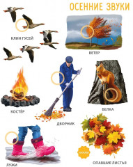 50 звуков. Мир вокруг меня - Фото 10