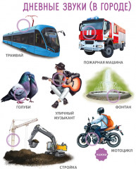 50 звуков. Мир вокруг меня - Фото 13