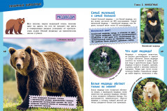 Большая энциклопедия для любознательных мальчишек - Фото 7