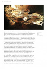 История искусства. Комплект из 2 одинаковых книг - Фото 9