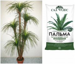 Торфогрунт с биогумусом «Пальма» - Фото 1