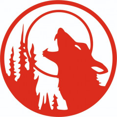 Наклейка на автомобиль - Фото 1