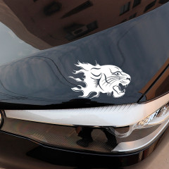 Наклейка на автомобиль - Фото 2