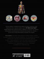 Анатографика. Атлас человеческого тела - Фото 1