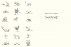 Удивлённая сова - Фото 1